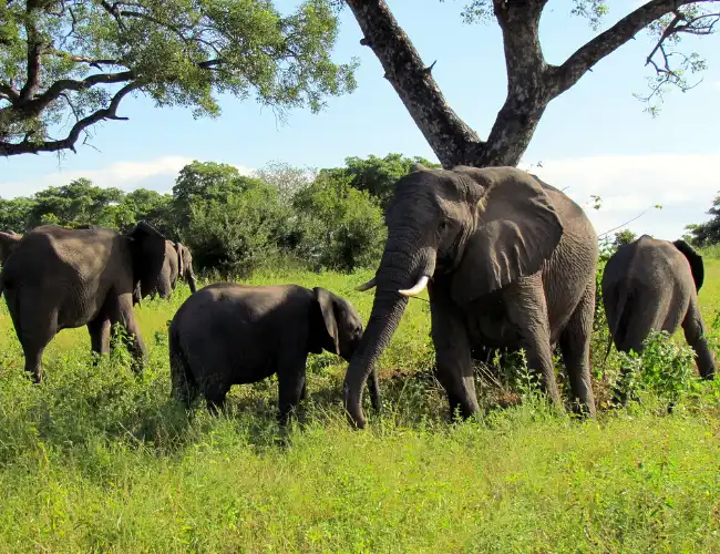 Semuliki National Park